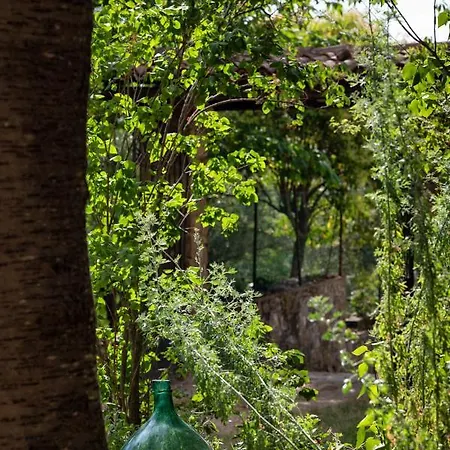 A Casa Castora Uffogliano