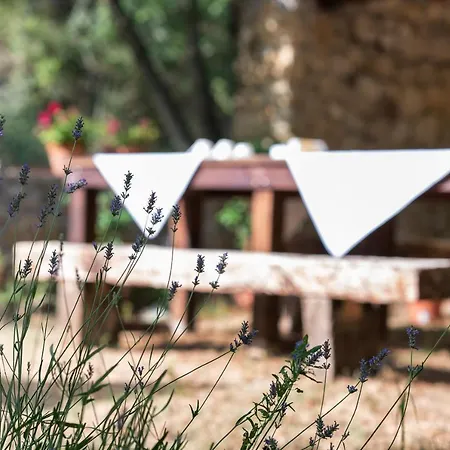 A Casa Castora Maison d'hôtes *