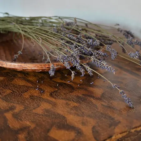 A Casa Castora Uffogliano