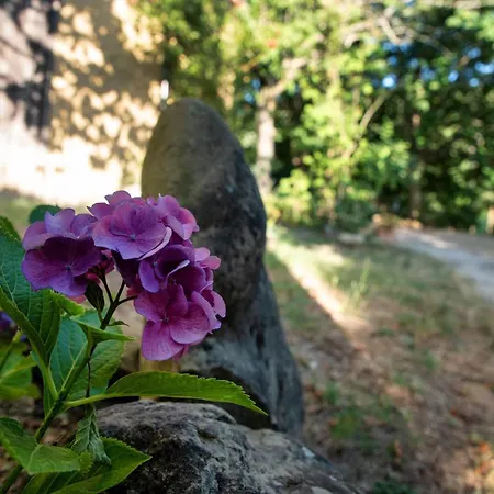 A Casa Castora Pensión