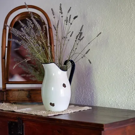 A Casa Castora Pensión *