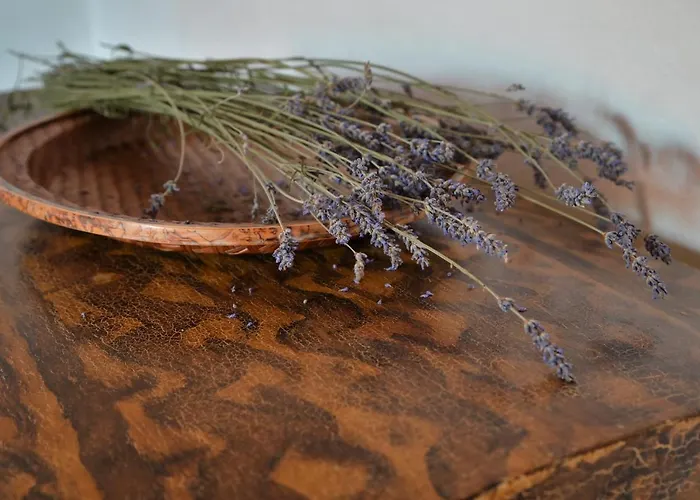 A Casa Castora Uffogliano