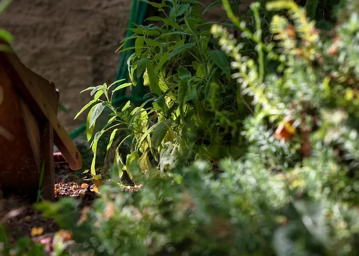 A Casa Castora 招待所 *