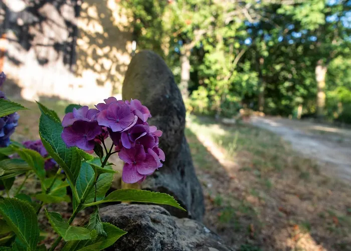 A Casa Castora Pensjonat