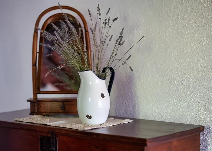 A Casa Castora Guest house *