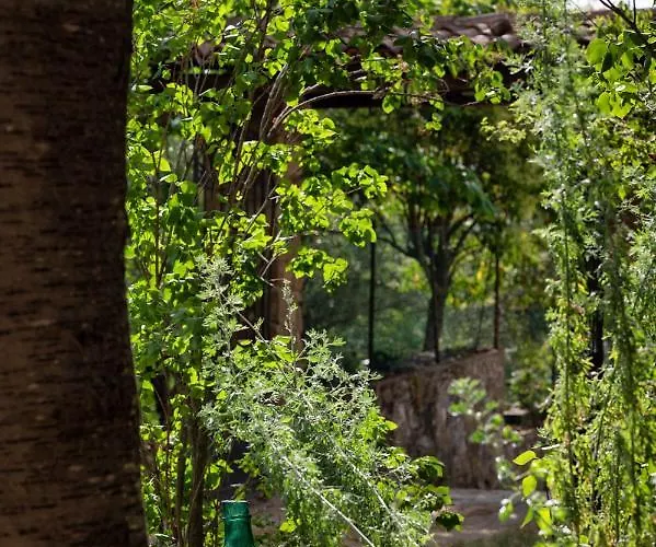 A Casa Castora Uffogliano